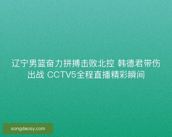 辽宁男篮奋力拼搏击败北控 韩德君带伤出战 CCTV5全程直播精彩瞬间
