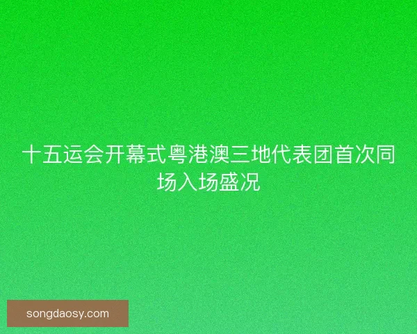 十五运会开幕式粤港澳三地代表团首次同场入场盛况
