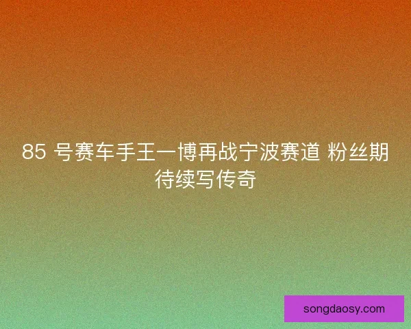 85 号赛车手王一博再战宁波赛道 粉丝期待续写传奇