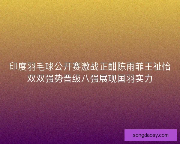 印度羽毛球公开赛激战正酣陈雨菲王祉怡双双强势晋级八强展现国羽实力 印度羽毛球公开赛激战正酣陈雨菲王祉怡双双强势晋级八强展现国羽实力
